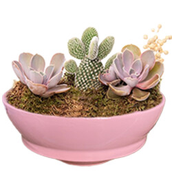 Theebby VSM0024 Seramik Saksı Pembe 