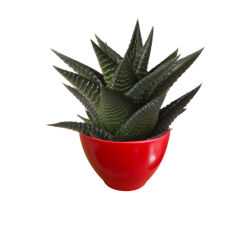 Theebby VSM0101 Seramik Saksı Kırmızı 