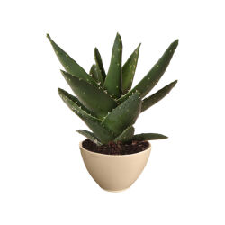 Theebby VSM0101 Seramik Saksı Krem - Theebby